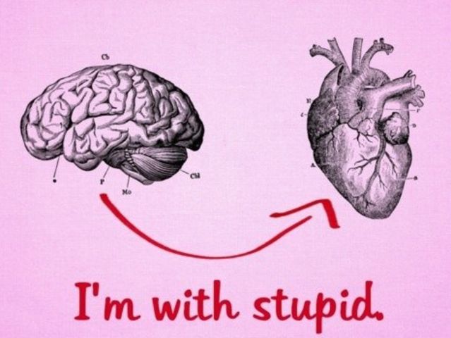 What’s The Connection Between Your Head And Your Heart?