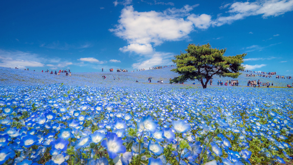 2016 National Geographic Travel Photographer of the Year Contest Entries