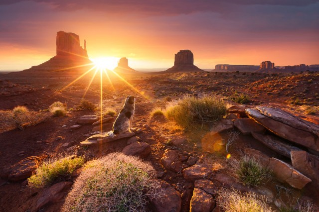 A Three-Year Journeying Around the World to Capture Sunrise
